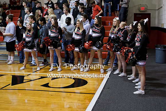 8294