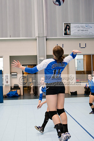 2050