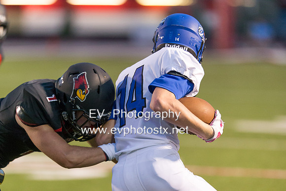 ds0539