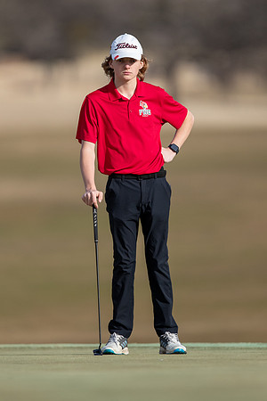 golf384