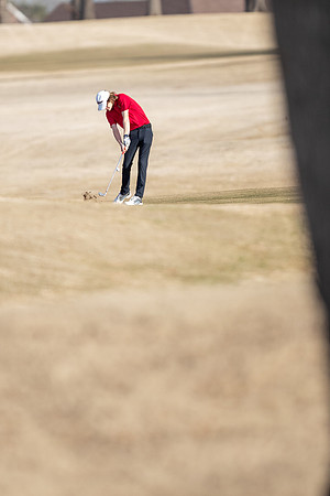 golf331
