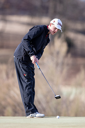 golf367