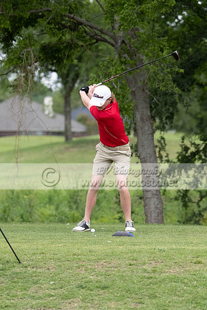 Golf113