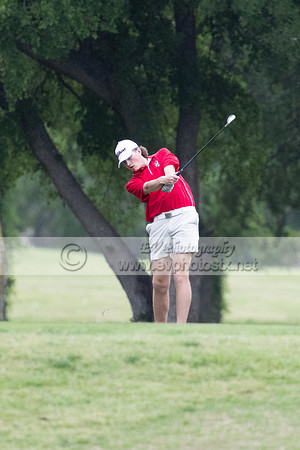 Golf064