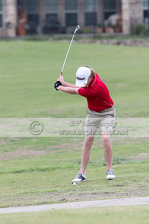 Golf099