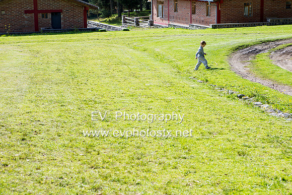 12EV6097 (Copy)