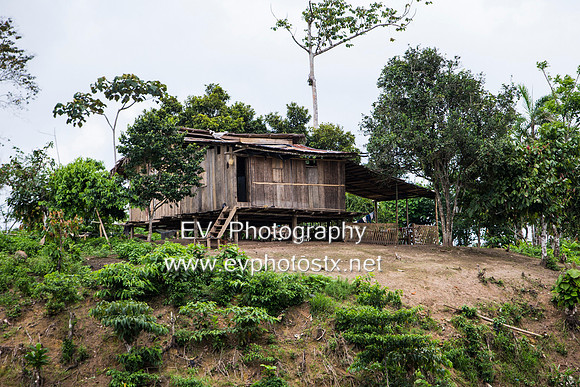 12EV6471 (Copy)