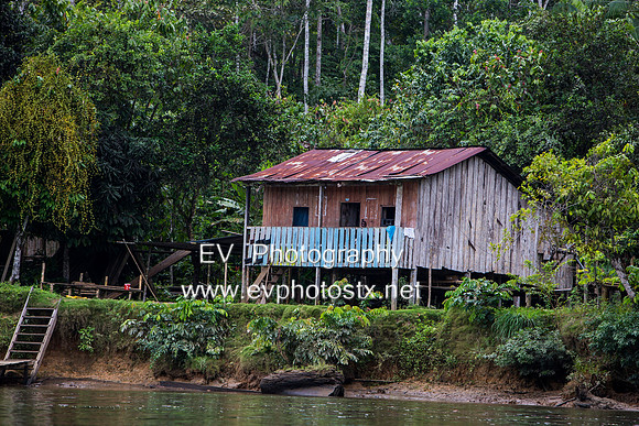 12EV6498 (Copy)
