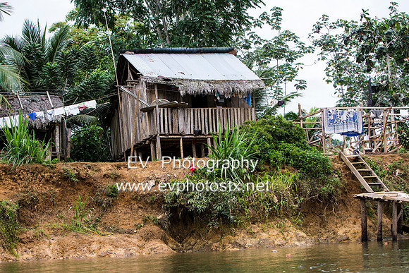 12EV6538 (Copy)