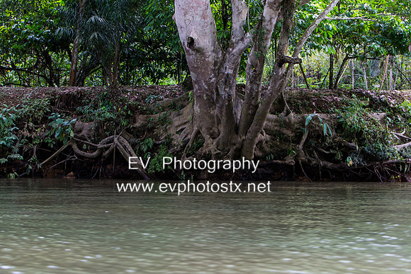 12EV6592 (Copy)