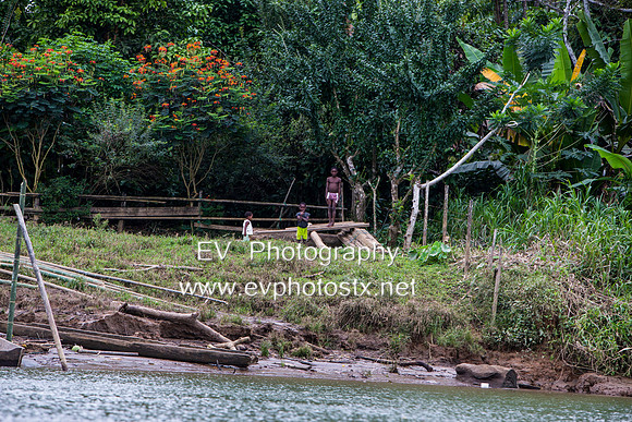 12EV6651 (Copy)