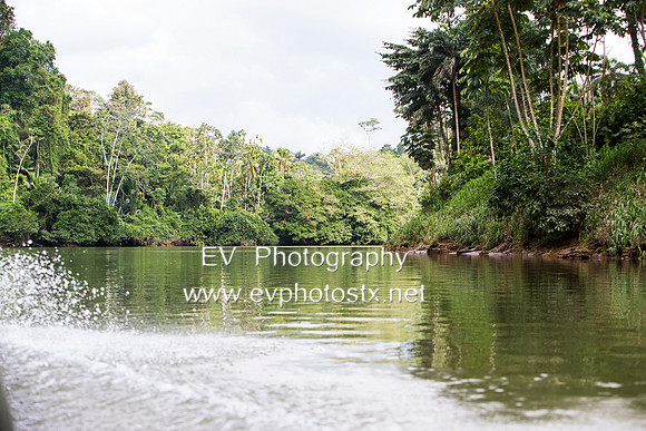 12EV6764 (Copy)