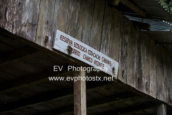 12EV7640 (Copy)