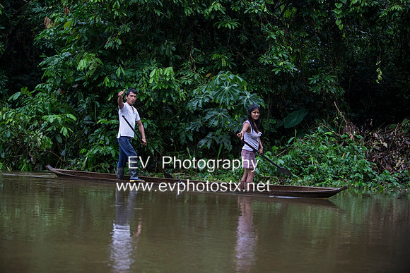12EV7641 (Copy)