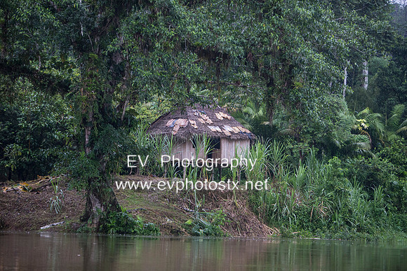 12EV7643 (Copy)