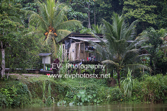 12EV7664 (Copy)