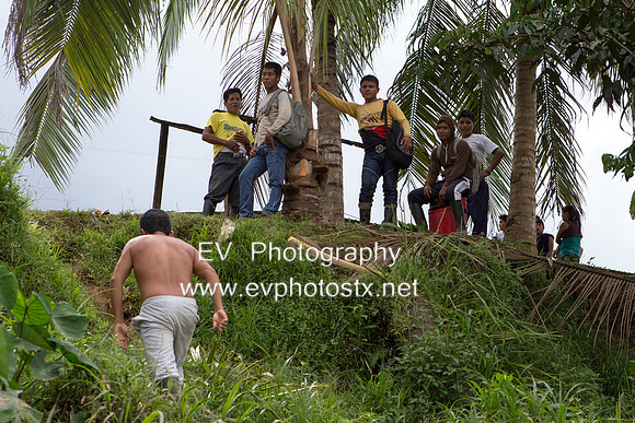 12EV8434 (Copy)