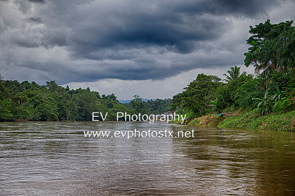 12EV8505 (Copy)