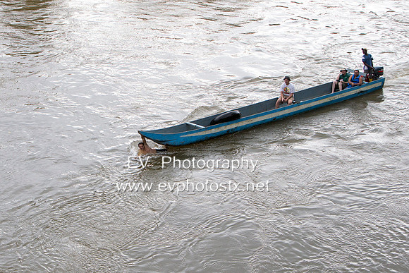 12EV8706 (Copy)