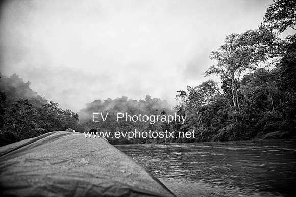12EV8717 (Copy)