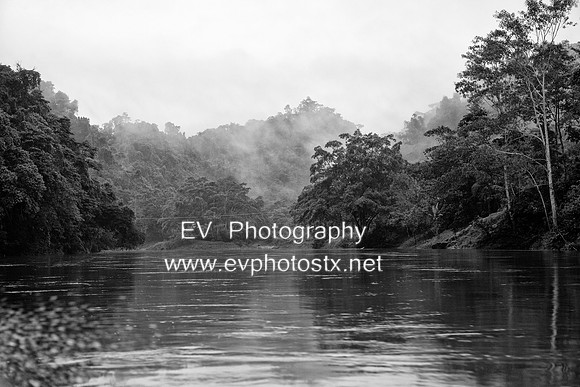 12EV8734 (Copy)