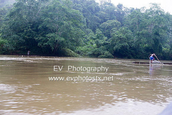 12EV8798 (Copy)