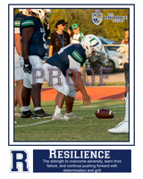 devin le resilience 16x20