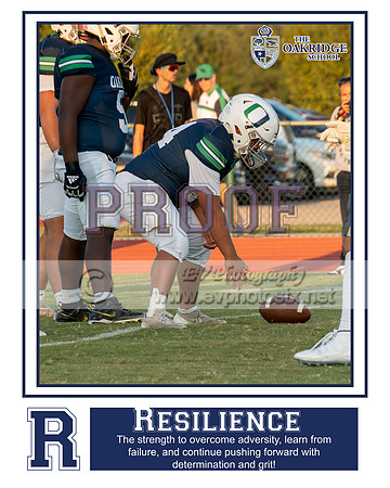 devin le resilience 16x20