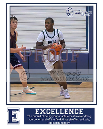 josh dees excellence 16x20