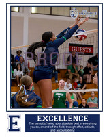 keegan flowers excellence 16x20