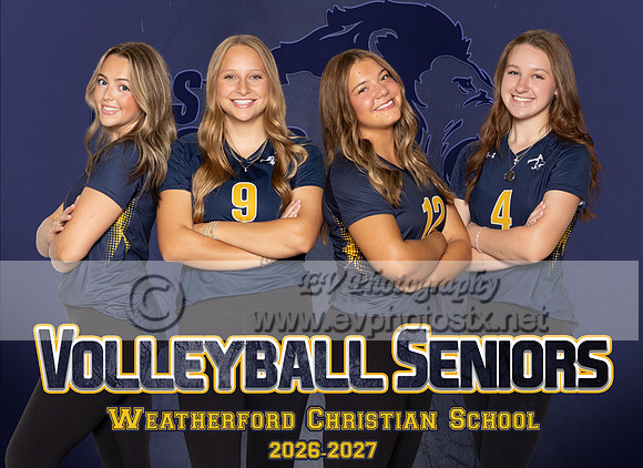 WCS VB Banner 5.5x4
