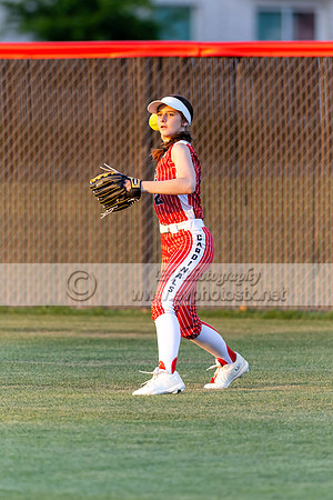 softballsenior0406