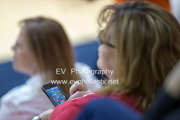 12ev3008