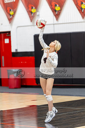 thesa0350
