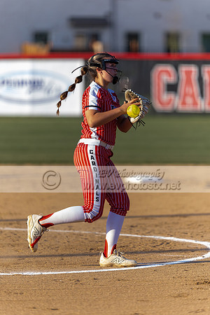 softballsenior0100